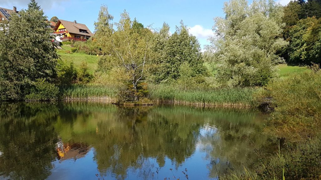 Ferienhaus im Schwarzwald