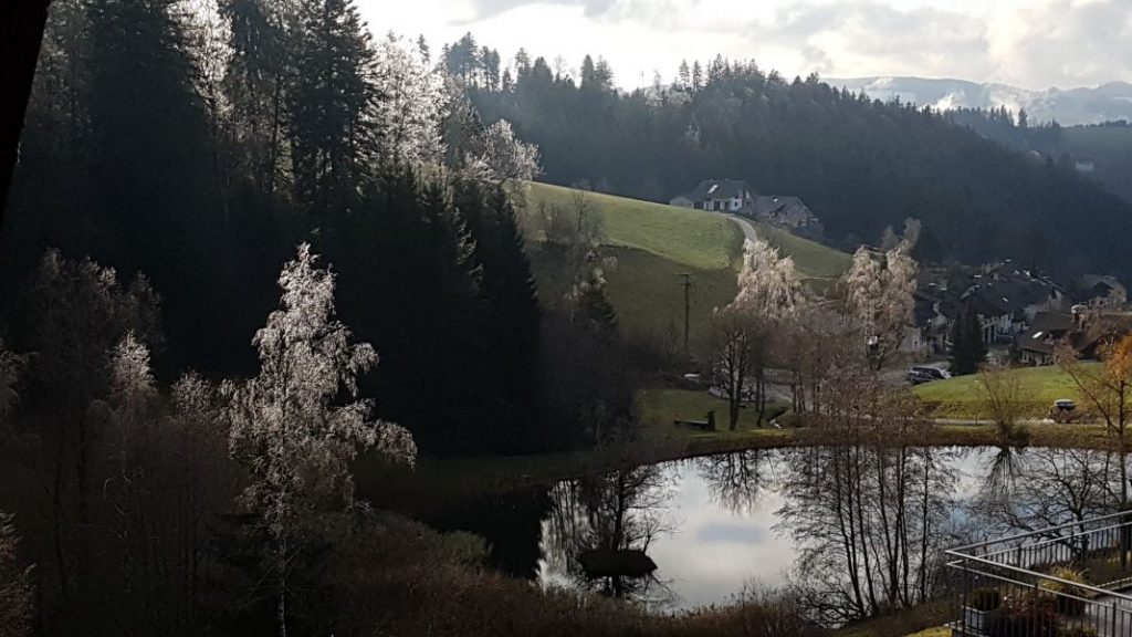 Morgenstimmung im Spätherbst / Morning in late fall