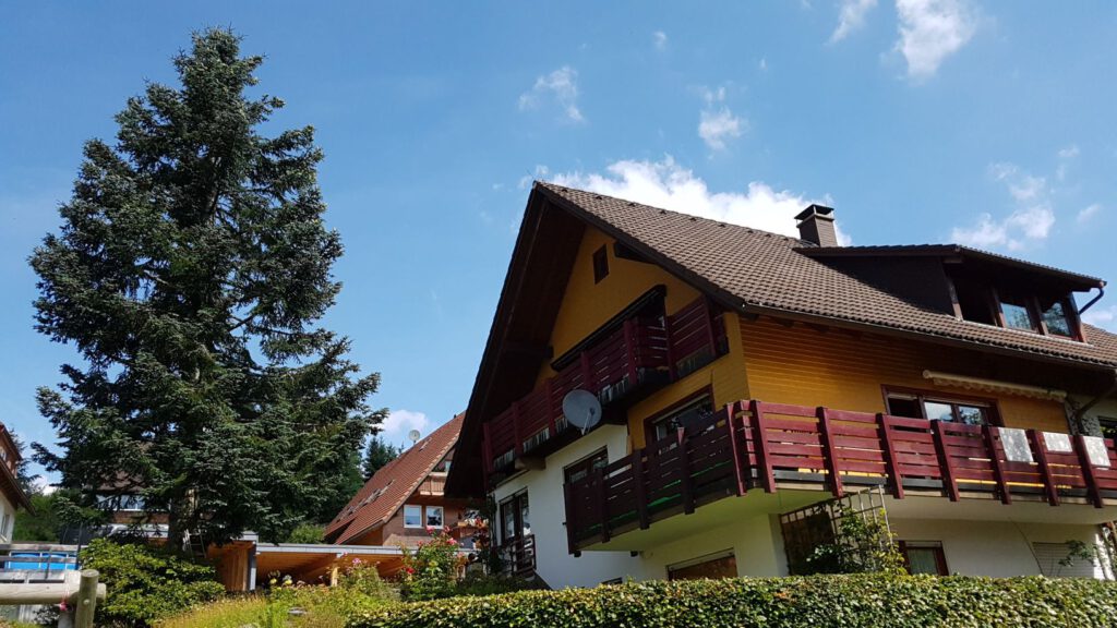 Tannehüsle mit Tanne / fir tree